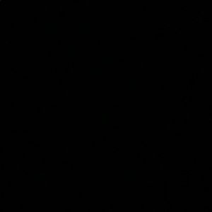 Meet your Posher, Chase